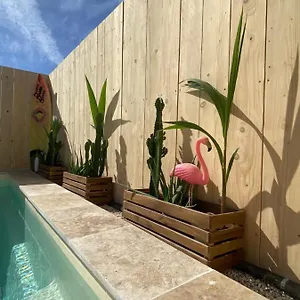https://mas-des-oliviers-piscine-chauffe-jardin-et-parking-privs.fr-provencehotel.com